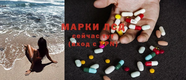 трава Гусиноозёрск