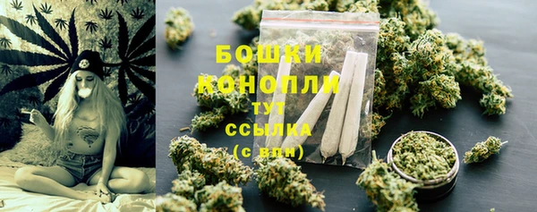 трава Гусиноозёрск