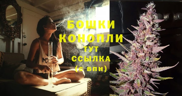МДМА Горняк