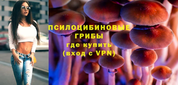 СК Гусев