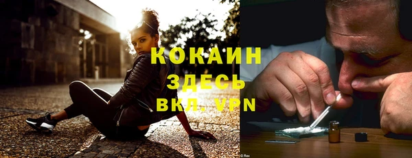 трава Гусиноозёрск