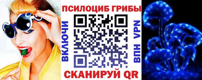 как найти закладки  Братск  Псилоцибиновые грибы прущие грибы 